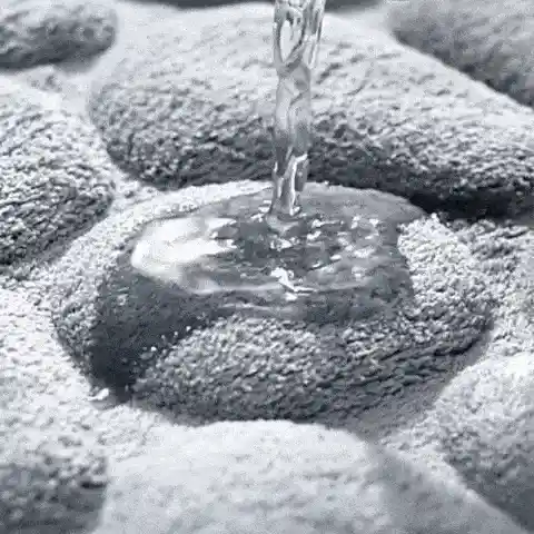 Quick Absorption Mat