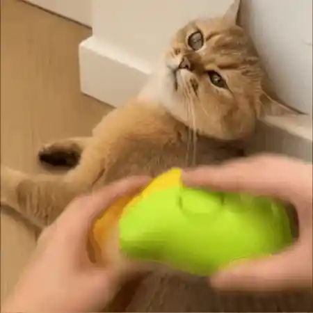 Steamy Pet Brush