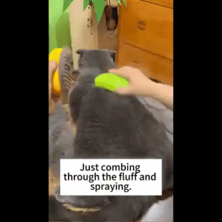 Versatile Brush