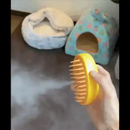 Great for Cats