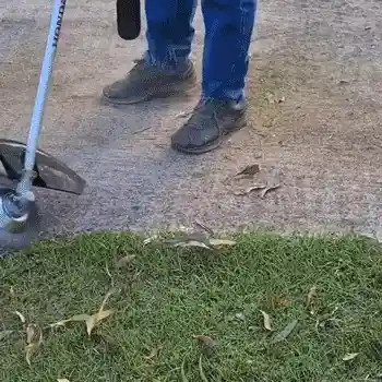 Trimmer in Action