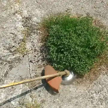 Trimmer in action